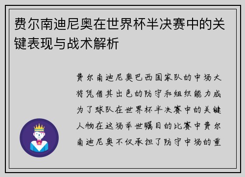 费尔南迪尼奥在世界杯半决赛中的关键表现与战术解析