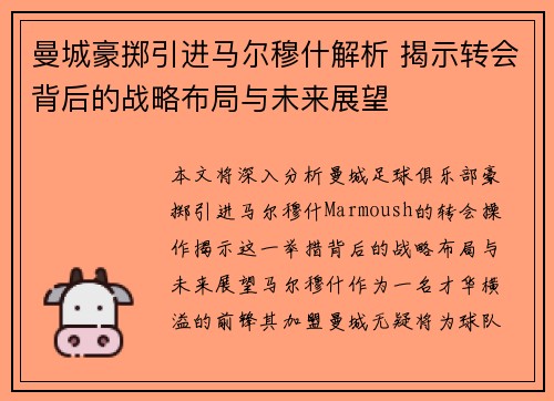曼城豪掷引进马尔穆什解析 揭示转会背后的战略布局与未来展望
